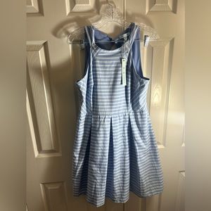 SHE & SKY Striped Blue A Line Babydoll Dress Size Large - NWT